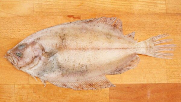 Sole Fish